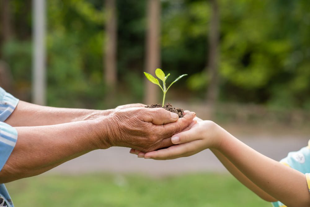 Why Nonprofit Organizations Need Recruitment Software to Attract and Retain Top Talent?